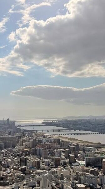 欧美一区二区三区成人片在线-网络世界的边界与个人选择的智慧——对成人内容在线平台的理性探讨