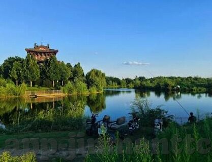 糖心vlog星辰-糖心Vlog，记录星辰下的温柔时光